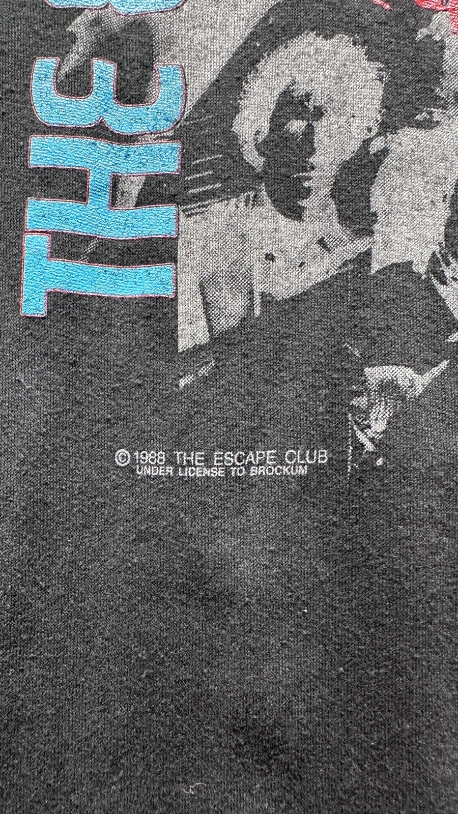 Picture 3 of 12