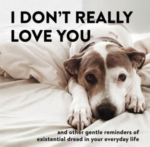 I Don't Really Love You: And Other Gentle Reminders of Existential Dread in You - Picture 1 of 1