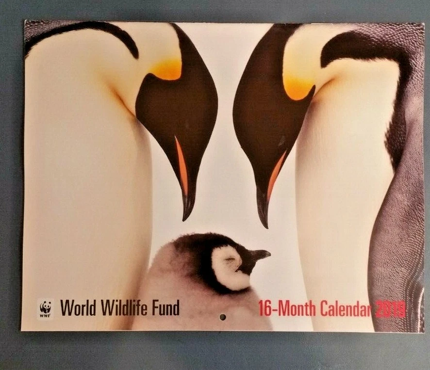 2019 World Wildlife Fund Calendar w Beautiful Wildlife Pictures | eBay