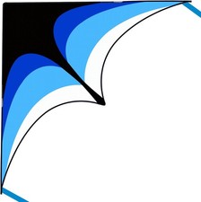 Mint's Colorful Life Delta Kite for Kids  Adults, Extremely Easy to Fly Kite fo