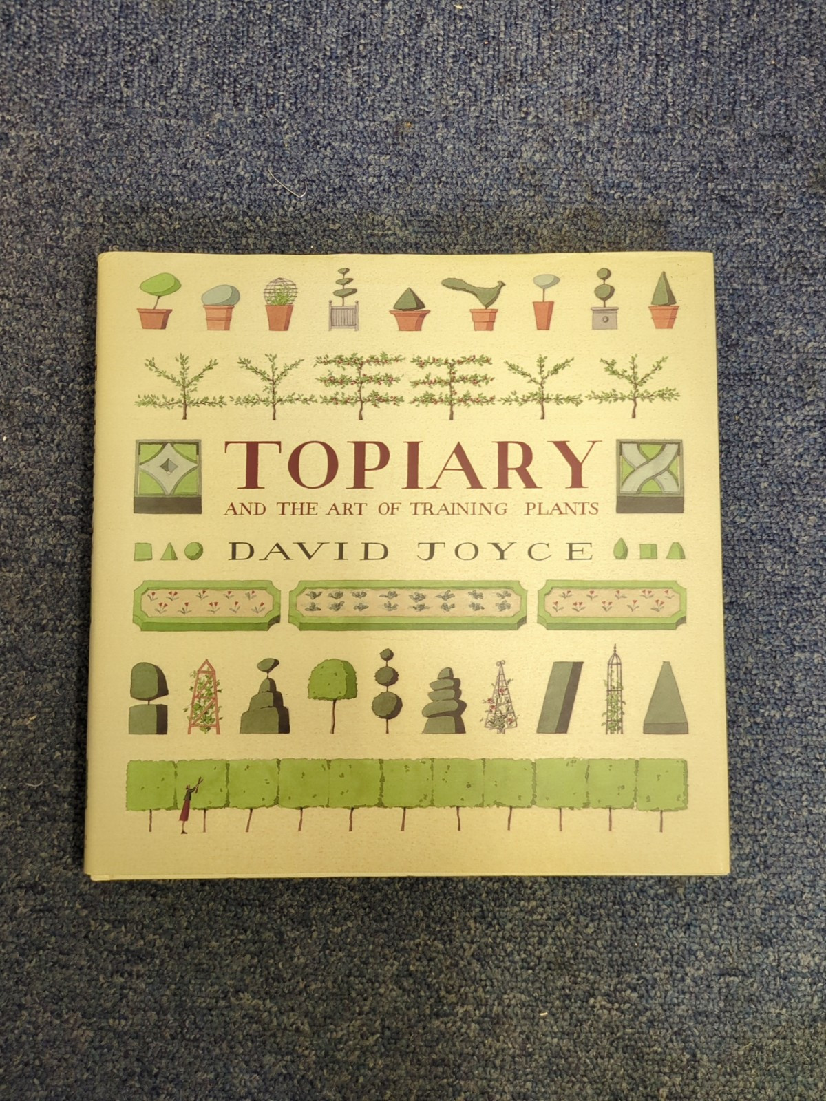 Topiary and the Art of Training Plants-David Joyce HB