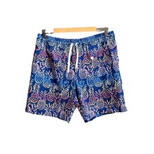 Chubbies Blue Pineapple Graphic Men's Lined Swim Trunks 7" Size M