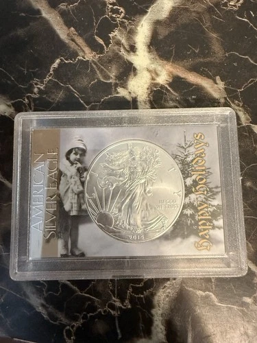 2014 American Silver Eagle One Ounce Bullion Coin With Case