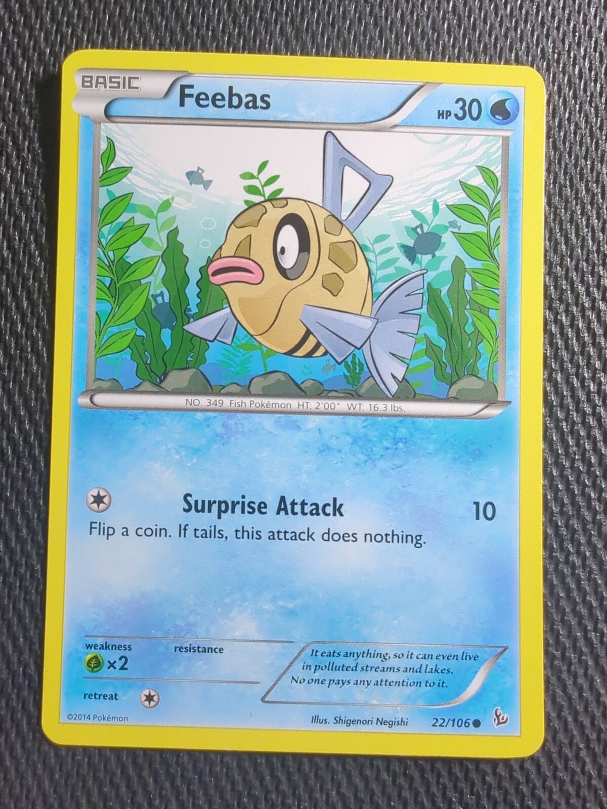 Pokémon TCG Feebas Flashfire 22 Common NM
