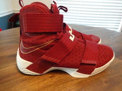 lrj sfg lebron shoes