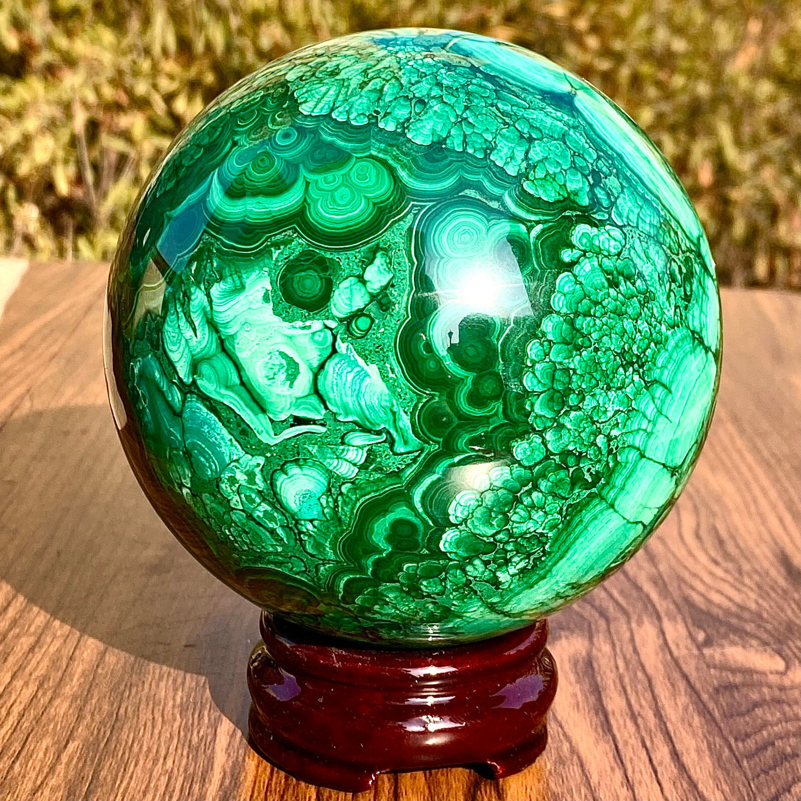Picture 2 of 12