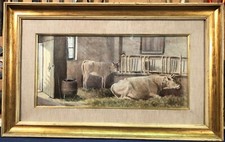 NATURE DI GIUSEPPE GAGLIARDI, MANTOVANO