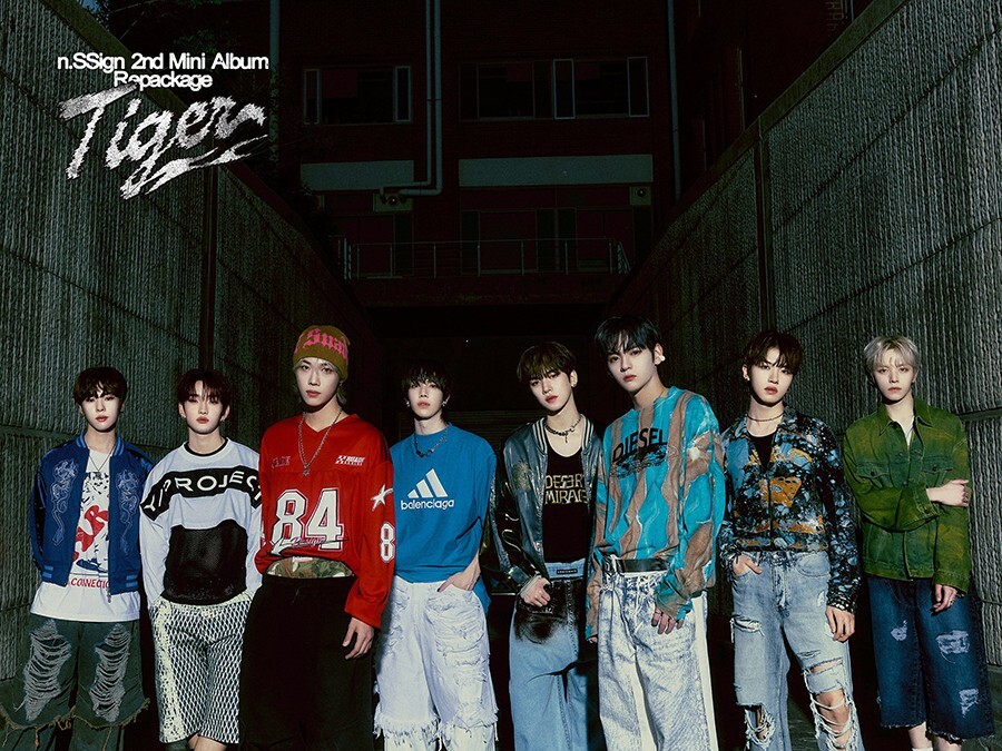 N.SSIGN TIGER Album LIMITED EDITION 2 Ver SET/2CD+2 Book+2Poster+2