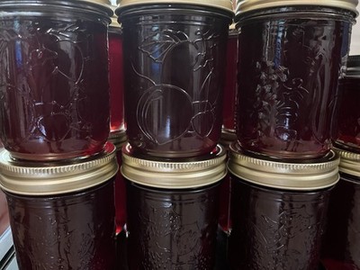 Holiday Homemade Organic Jelly  Trio Gift Sets with Elderberry Limited Supply
