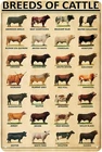 Metal Breeds of Cattle Sign - Cattle Knowledge Poster, Vintage Tin Signs for Ran