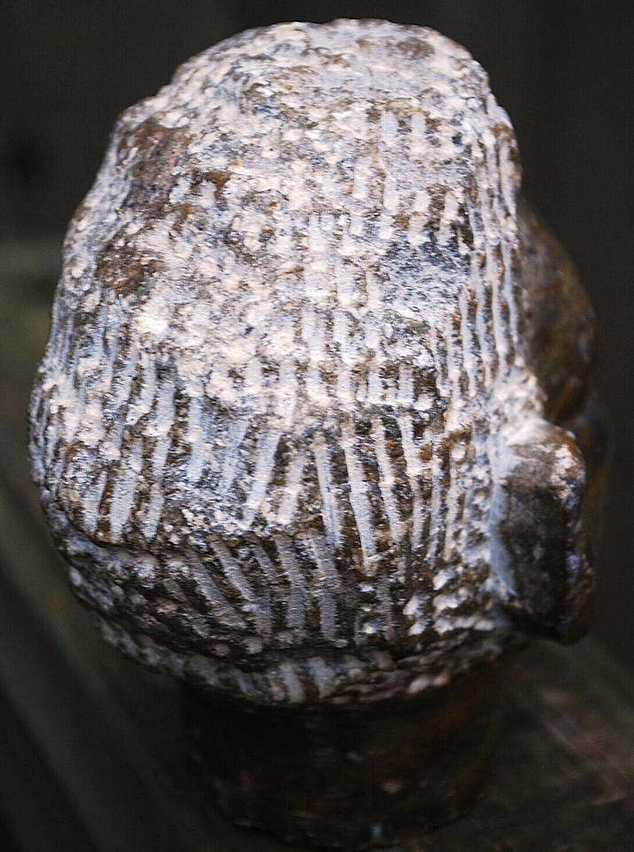 Vtg HAND CARVED African Man SERPENTINE STONE Head Sculpture Bust Shona