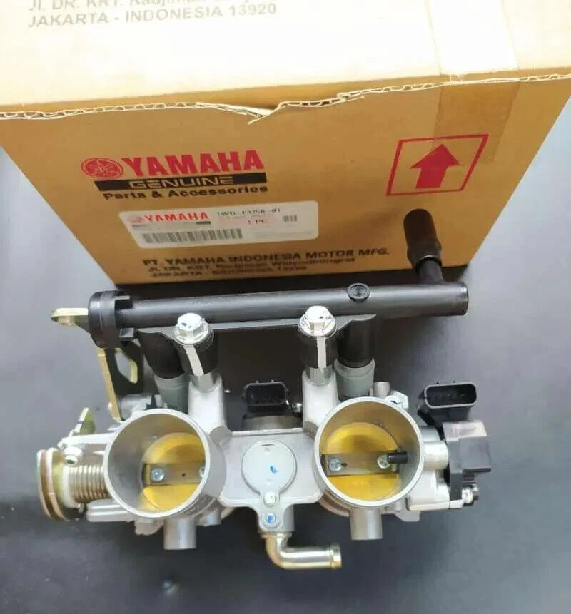 Throttle body r25 deals