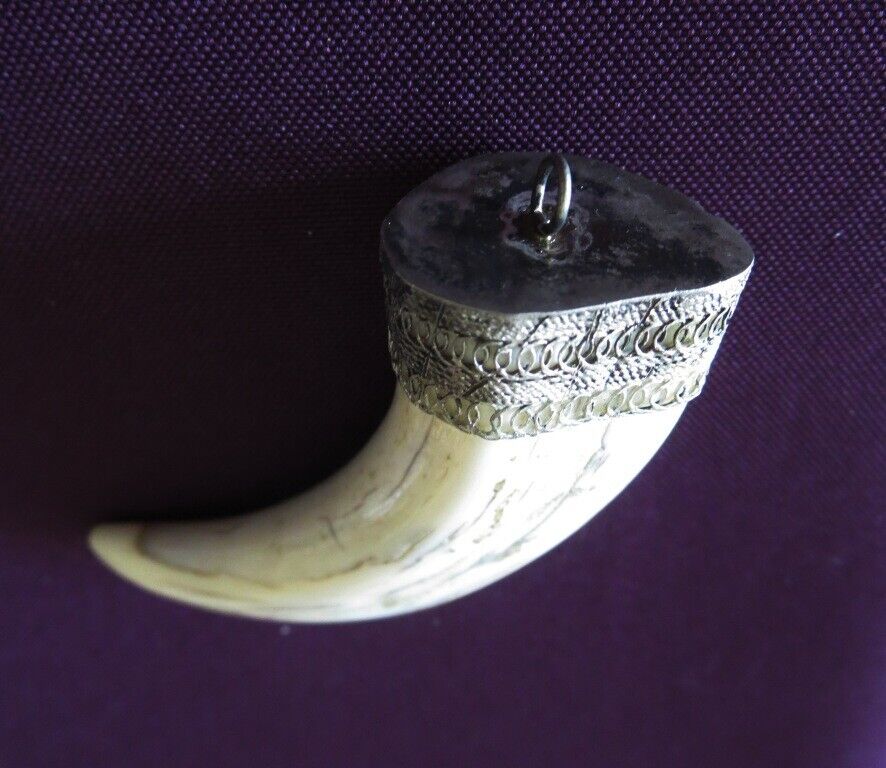Foto 4 di 5