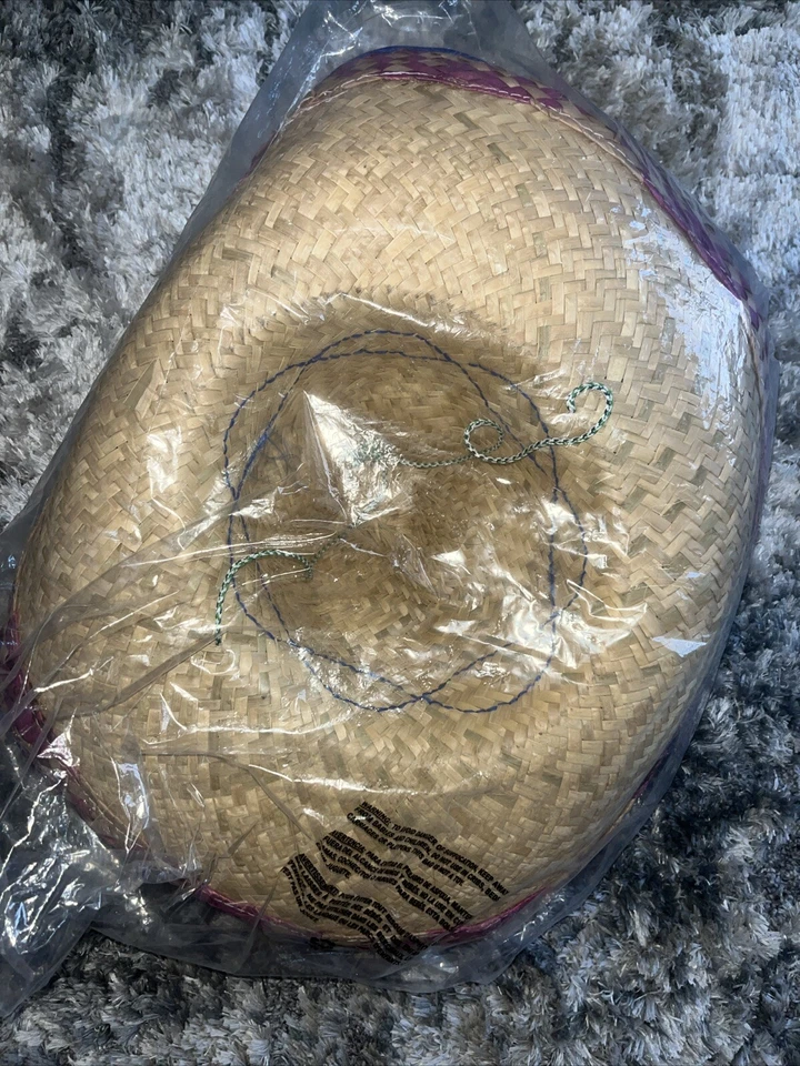 Rubie's 男女皆宜的成人刺绣吸管 Sombrero 派对用品 棕色 多种 — 第 4/4 张图片