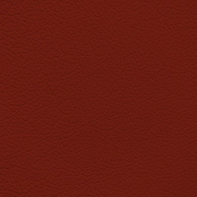 GM Corvette Red Leather Dye