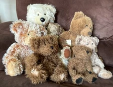 Lot of Bears - Multiple Brands & Variety Of Sizes (Boyds Ganz Aurora Russ)