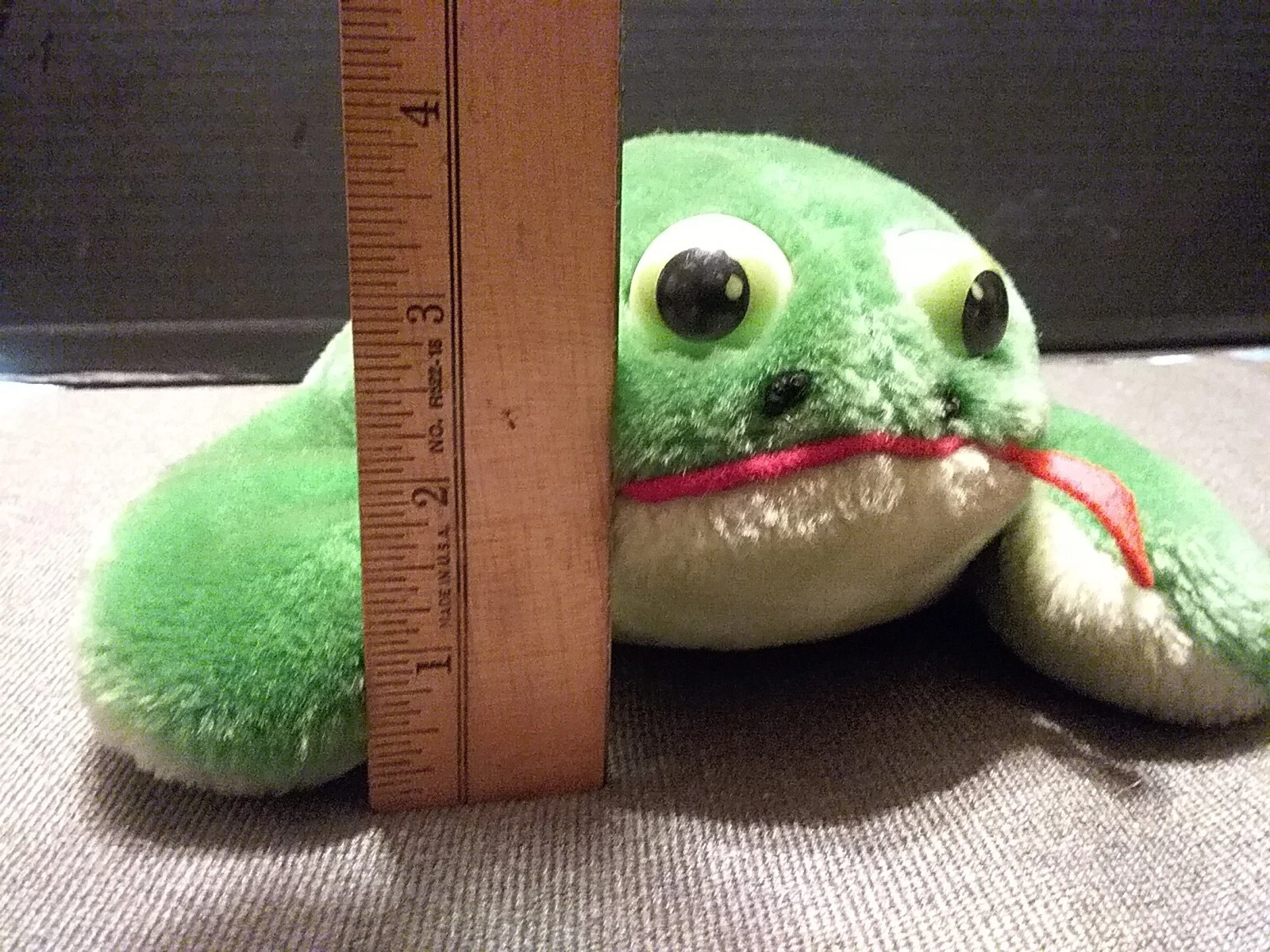 Picture 12 of 12
