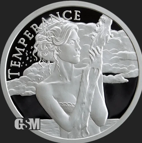 5 OZ 999 PURE SILVER SHIELD PROOF TEMPERANCE FREEDOM ROUND COIN MINTAGE GIRL HOT
