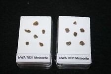NWA 7831 achondrite green-brown diogenite meteorite fragments in display case