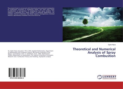 Ophir Nave | Theoretical and Numerical Analysis of Spray Combustion | Buch