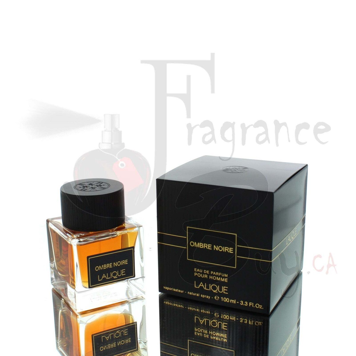 Lalique Ombre Noire EDP M 100ml Boxed