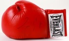 EVERLAST UFC CHAMP CONOR MCGREGOR AUTO BOXING GLOVE!! PSA/DNA!!