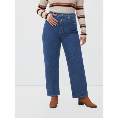 Everlane The Way High Straight Jean in sky Size 30R