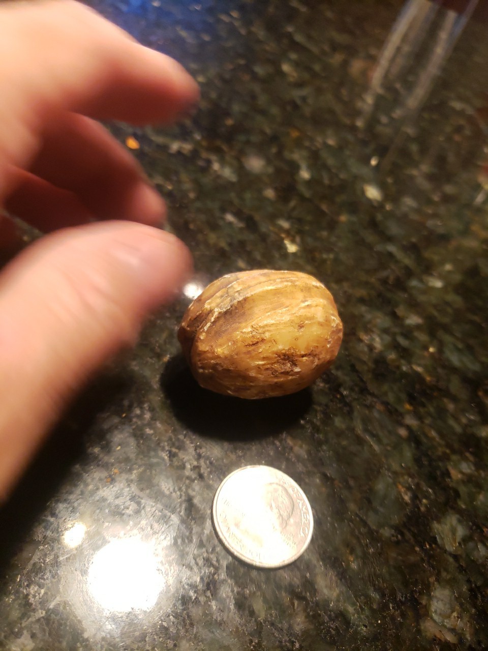 ANTIQUE LARGE WALNUT ALABASTER MARBLE STONE FRUIT OLD ITALIAN REALISTIC 