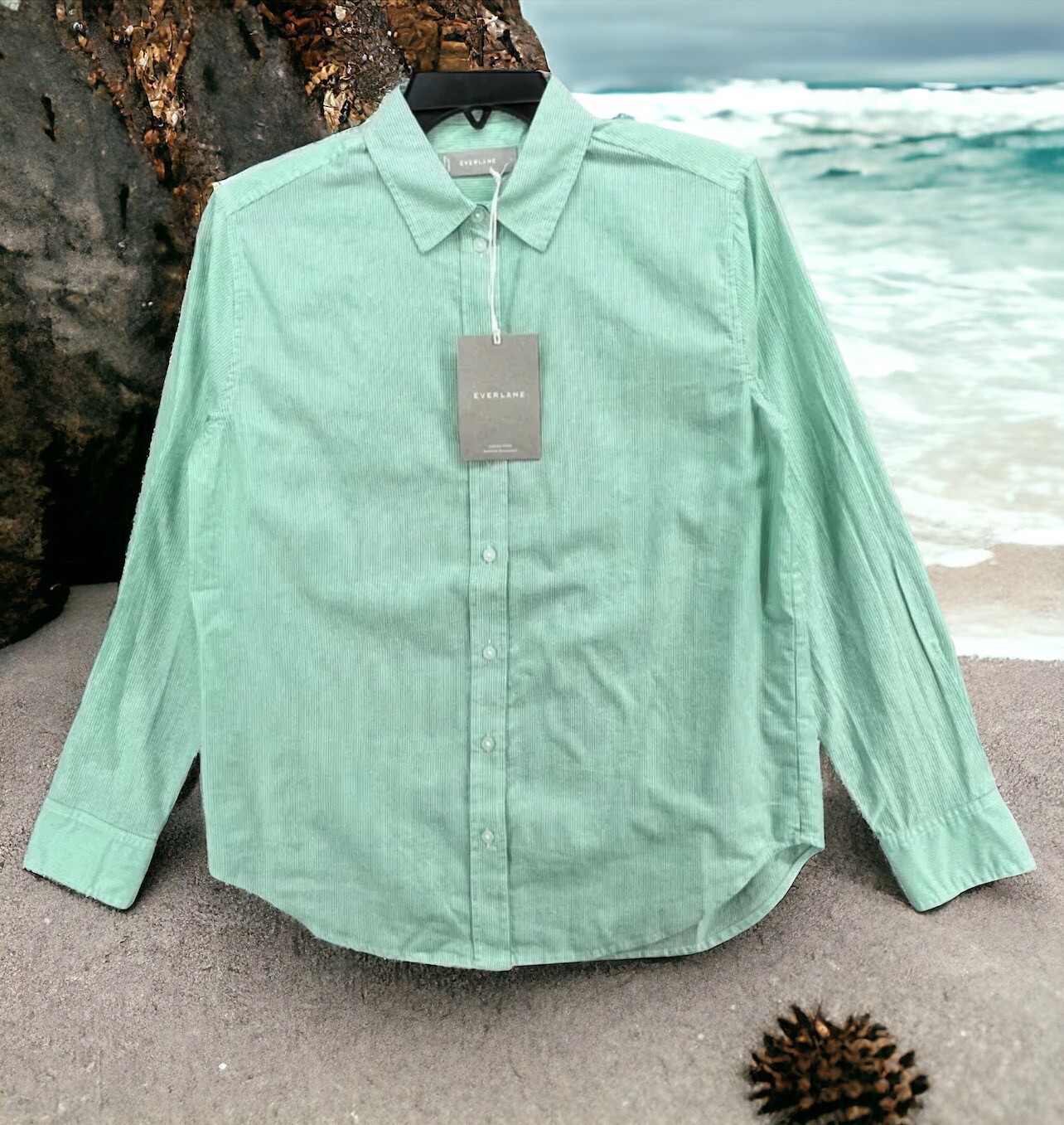 NEW Everlane Silky Cotton Striped Button Down Shirt Size 4 Mint Green Oversized