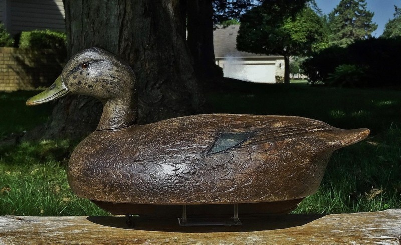 RARE HIGH-HEAD BLACK DUCK ~AMAZING 100% ORIG c1938 BEN SCHMIDT RIGGED WOOD DECOY
