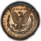1881-S $1 Morgan Silver Dollar - Semi Proof-Like - Colorful Toning - BU - D7462