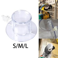Parrot Anti Grab Feather Cones Safety Protective Bead Bird for Lovebird Wound