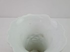 Picture 6 of 19