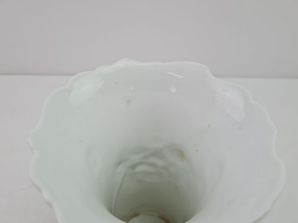 Picture 6 of 19