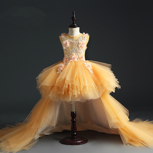 Long Trailing Appliques Lace Dress Gold Tulle Ball Gown Girls