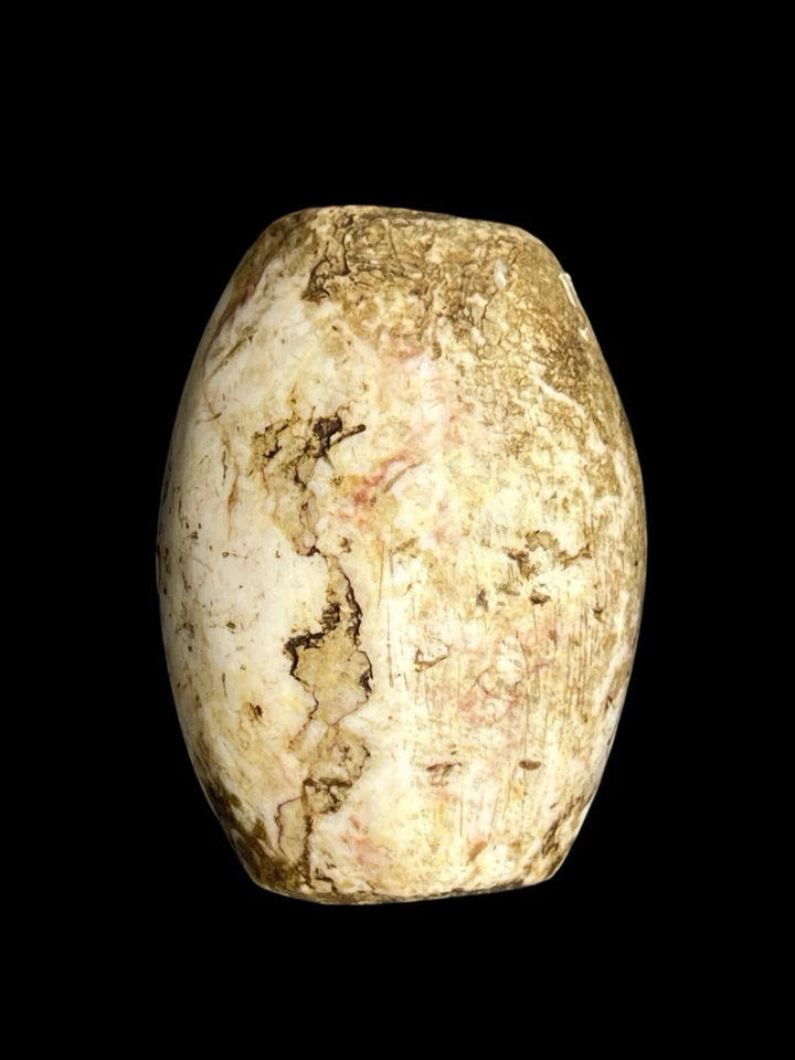 Authentic Ancient Indus Valley Stone Shell Bead 1000 BC Baluchistan - Imagem 2 de 4