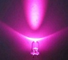 Bild 7 von 8