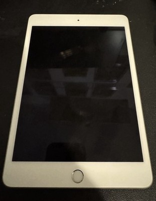 WiFi Only Apple iPad Mini 5th Gen 64GB Silver