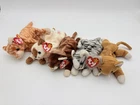 TY Beanie Babies Cats Lot Kittens Set Chip Snip Pounce Nip Zip 5 PCS VTG