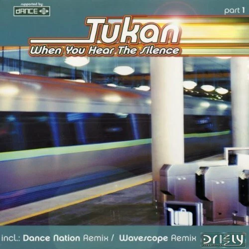 Tukan When you hear the silence-Part 1 (Orig. Ext., 2002)  [Maxi 12"] - Bild 1 von 1