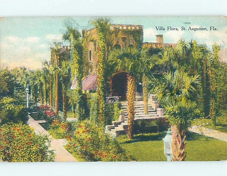 Divided-Back BOTANICAL SCENE St. Augustine Florida FL see my 60,000 cards  HJ7370 | eBay