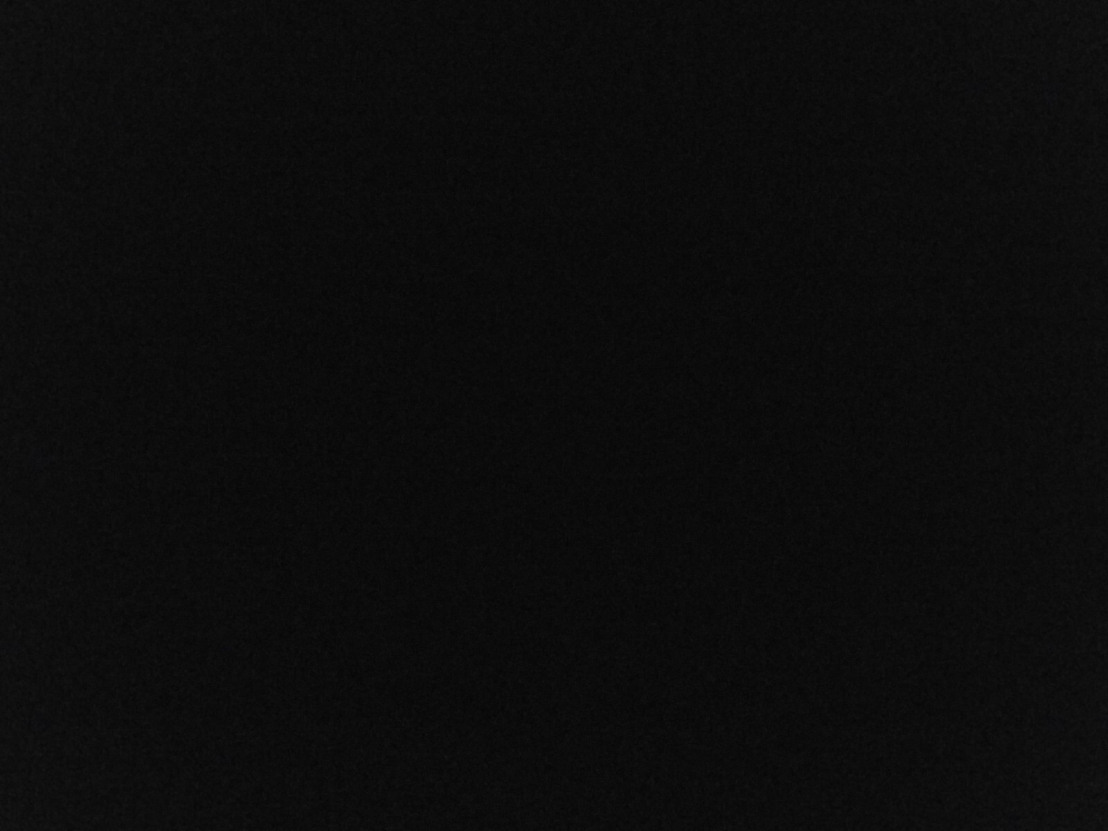 Bild 2 von 8