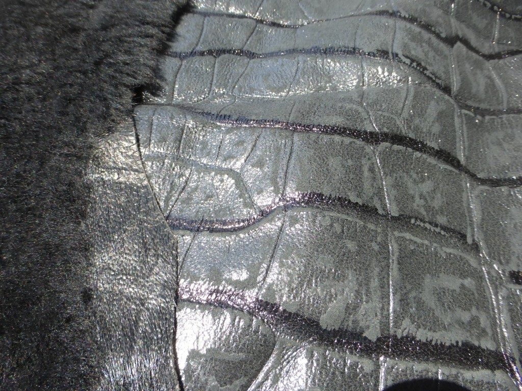Picture 6 of 7