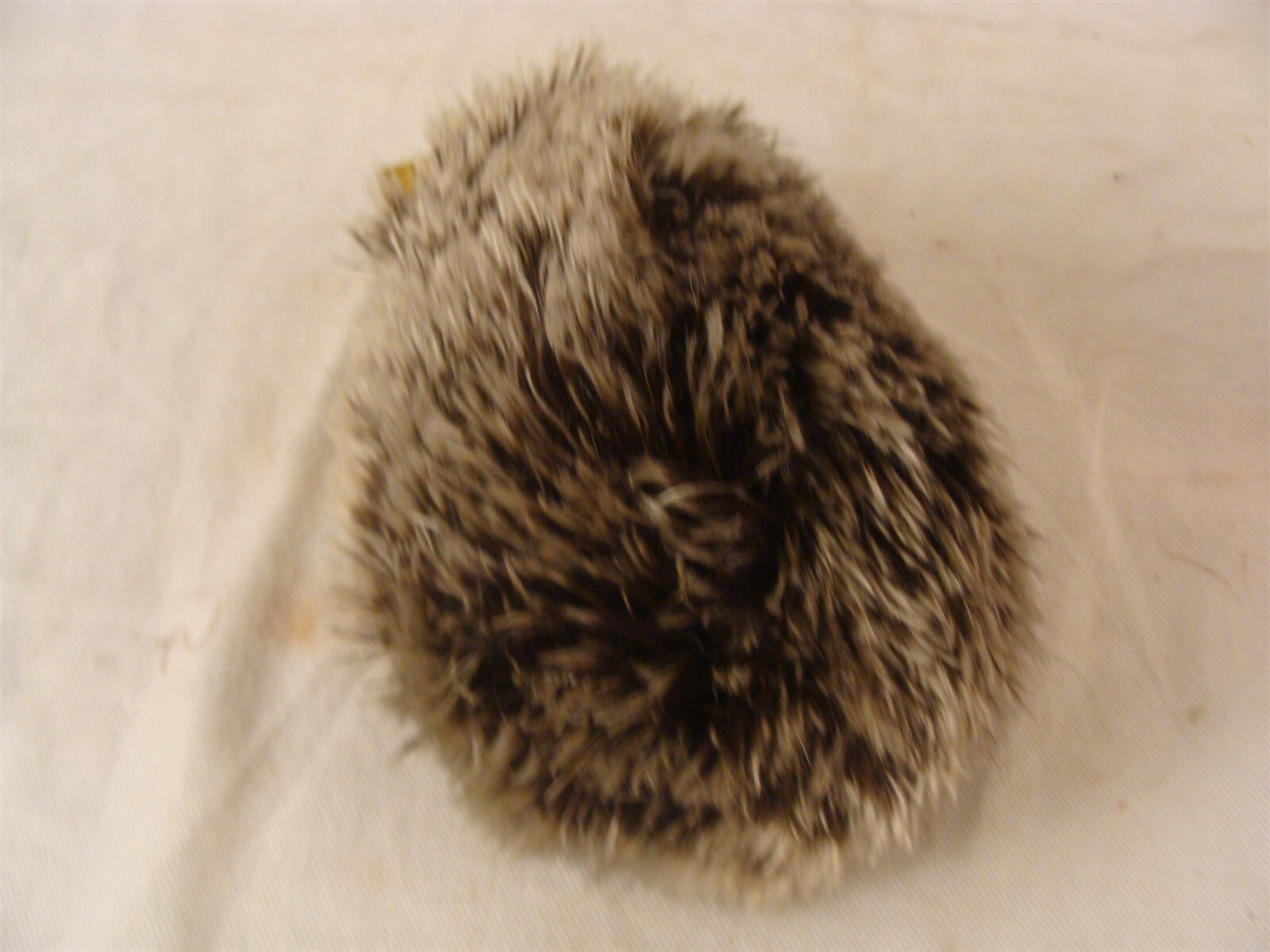 Picture 6 of 6