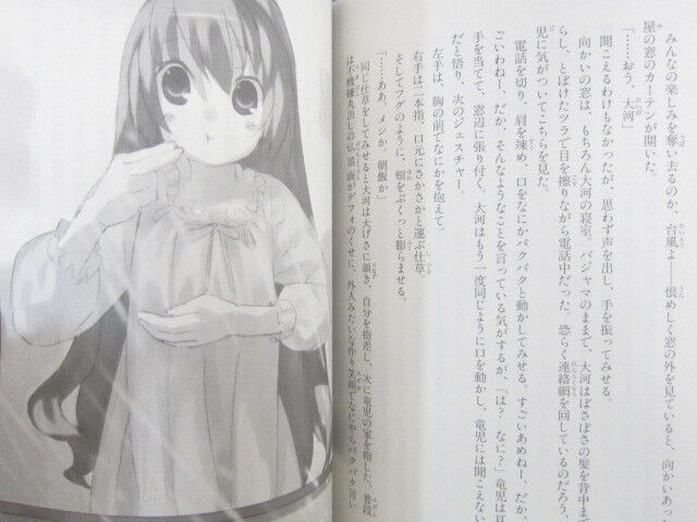 Toradora Spin-off!  Light Novel 