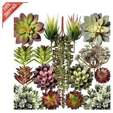 Assorted Faux Succulent Plants - 16 Piece Non-Toxic Arrangement for All Seasons