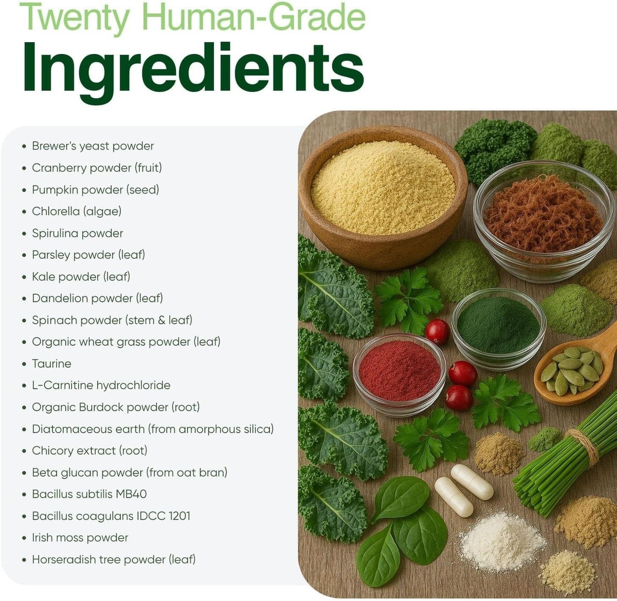 Iron Paws Human-Grade Superfood Powder for Dogs Dental Gut Joint Skin & Coat View 5
