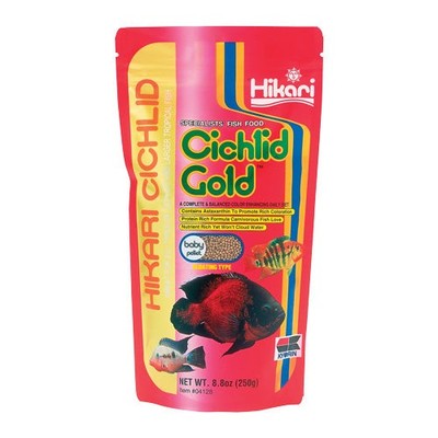 Hikari Cichlid Gold Baby