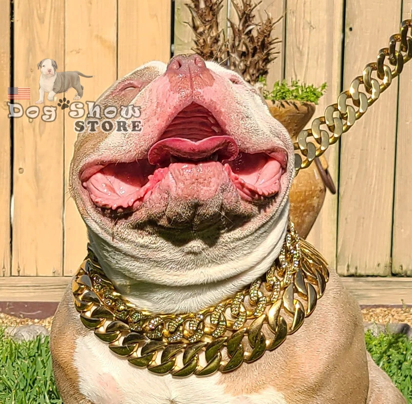Cadena para mascotas oro diamante cubano 32 mm collar para exhibición canina 316L VENDEDOR AUTORIZADO Foto 3 de 4
