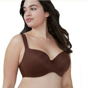 Lane Bryant Spanx Size Chart